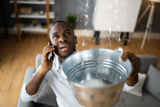 Best Basement water damage restoration  in Smyrna, GA