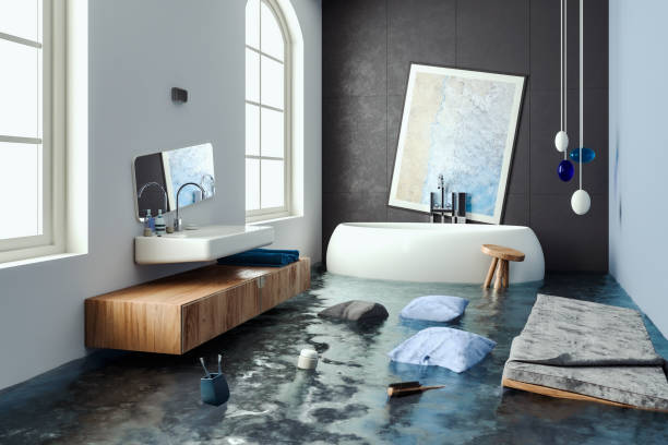 Best Professional water damage repair  in Smyrna, GA
