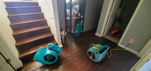 Best Water damage restoration cost  in Smyrna, GA