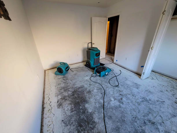 Best Water damage restoration near me  in Smyrna, GA