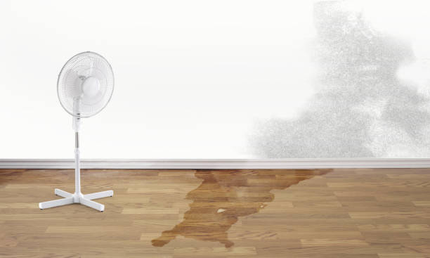 Best Flood damage cleanup  in Smyrna, GA