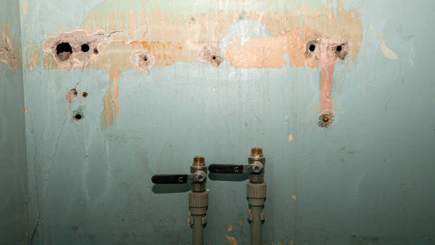  Smyrna, GA Water damage restoration Pros