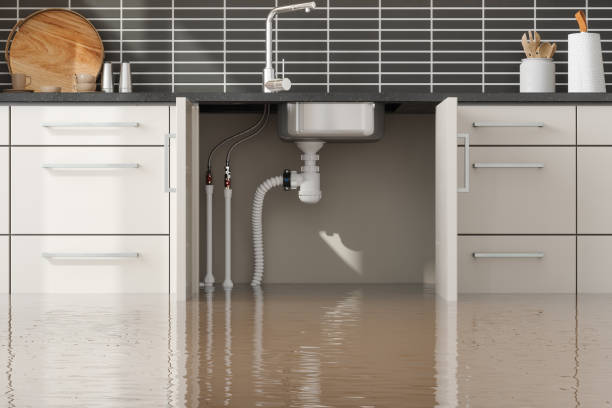 Best Water damage cleanup near me  in Smyrna, GA