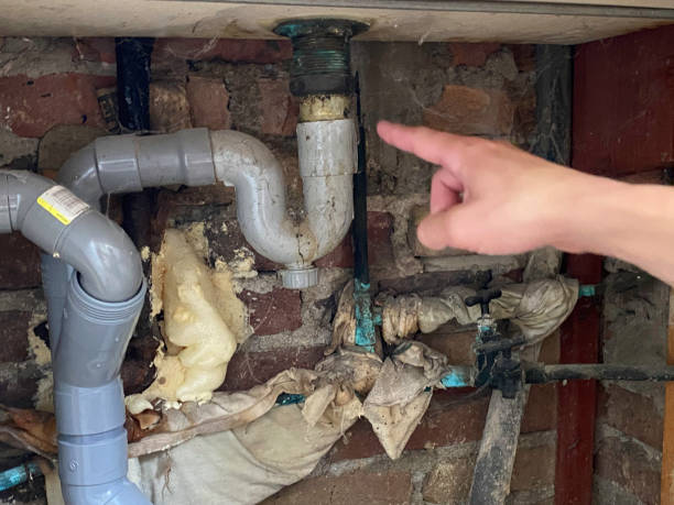 Best Carpet water damage restoration  in Smyrna, GA