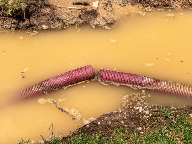 Reliable Smyrna, GA Water damage restoration Solutions