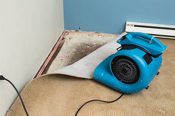 Best Flood damage cleanup  in Smyrna, GA